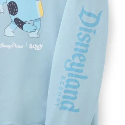 Bandit Pullover Hoodie for Adults – Bluey – Disneyland