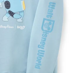 Bandit Pullover Hoodie for Adults – Bluey – Walt Disney World