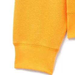 Disneyland 70th Anniversary Raglan Pullover Sweatshirt for Adults