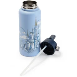 Walt Disney World 32 oz. Stainless Steel Water Bottle