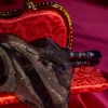 Werecat Lady Limited Edition Doll – The Haunted Mansion – 17''